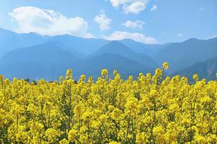 亚历山大：今夏特训了核心力量 身体稳定性助我打出优异表现